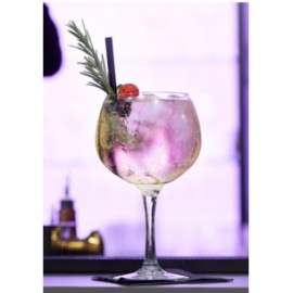 3658SCL60 COPA COPACABANA GIN & TONIC 600 ML / 20 OZ